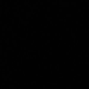 Meet your Posher, Elena